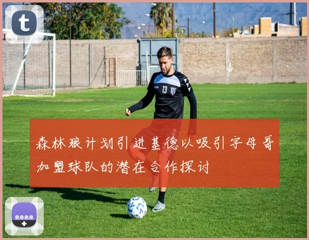 森林狼计划引进基德以吸引字母哥加盟球队的潜在合作探讨