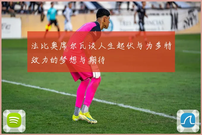 法比奥席尔瓦谈人生起伏与为多特效力的梦想与期待