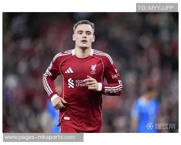 斯内德强调维尔茨需尽快展现实力以证明其在国际舞台的竞争力